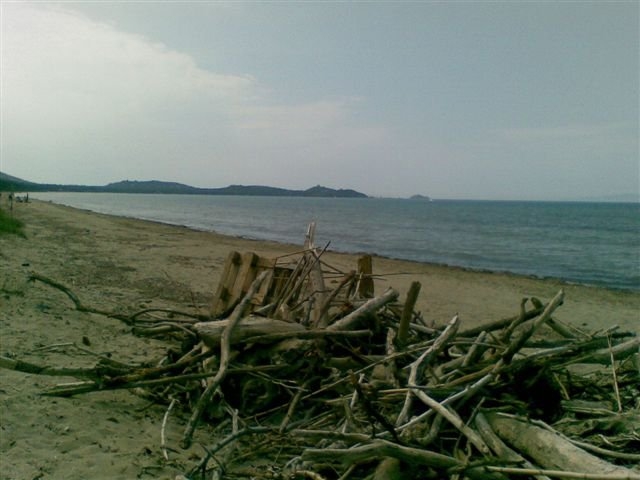  O CHARM DO COM O SELO DA ESTAÇÃO 